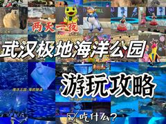 -海合安武汉极地海洋公园