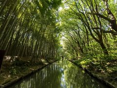 -同里国家湿地公园