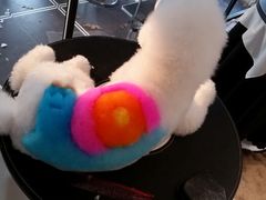 android_upload_pic-唐小姐の猫狗洗护·购宠旗舰店(周浦万达店)