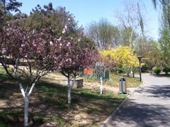 iphone_upload_pic-丰台花园
