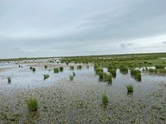 -花湖生态旅游区