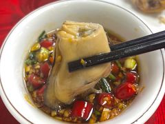 -花苑美食横琴生蚝火锅(拱北粤华路店)