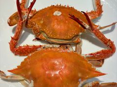 清蒸梭子蟹-将相和·海鲜蒸饺大连菜·连鹭海鲜姊妹店
