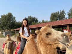 -库伦旗银沙湾旅游景区