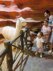 -酷嗒动物文化乐园(cutezoo西溪乐天城店)