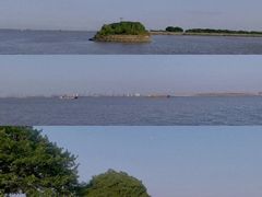 -大湾区中央湿地公园-十九涌