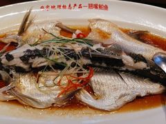 -丹江渔村(望京店)