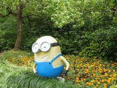 -上海海湾国家森林公园