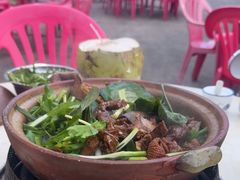 -霞姐屯昌枫木香草鸭店(海螺店)