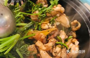 Double Chicken Stew