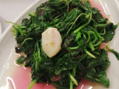 蒜蓉米苋-春餐厅