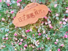 -北京凤凰岭