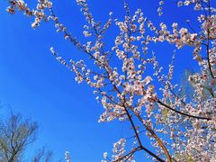 -安定门(地铁站)