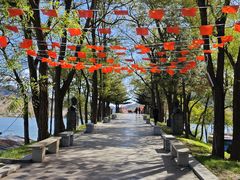 -河口景区