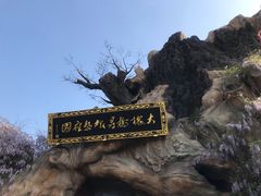 -大槐树寻根祭祖园