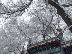 -北京国子监胡同