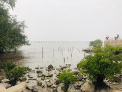 -宝安西湾红树林湿地公园