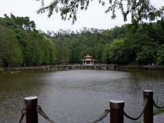 -深圳仙湖植物园