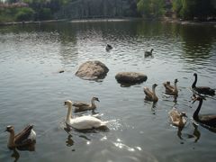 -西安秦岭野生动物园