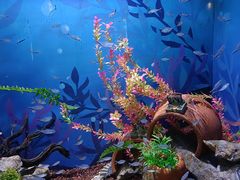 -绿色星球动物主题公园