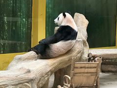 -杭州野生动物世界