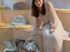 -Husky Go! 哈士奇体验馆·宠物咖啡厅狗咖