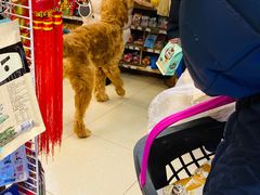 -绿叶子超市(公园大道店)