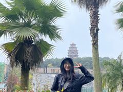 -铁山坪森林公园