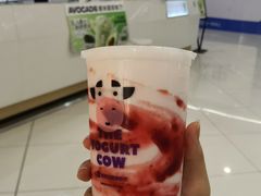 -一只酸奶牛(汕头金平万达广场店)