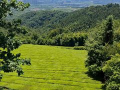 -敬亭山风景名胜区