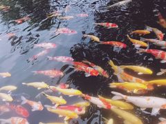 -湖鲜楼