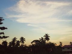 -拉威海鲜市场