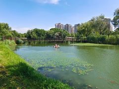 -SMP滑板公园