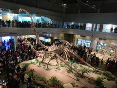 -自贡恐龙博物馆