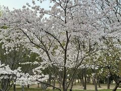 -莲花池公园