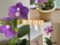 -番禺广场(市桥街道)