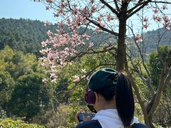-苏州环秀晓筑养生度假村