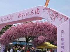 大门-南汇桃花村