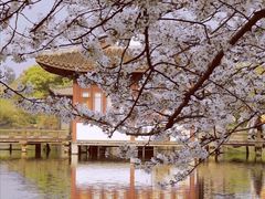 -西湖外事游船(花港观鱼码头)