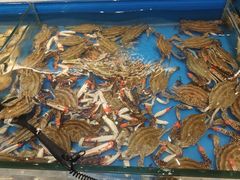 -川骄海鲜自助(河东店)