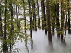-东湖落雁景区