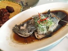 -骏莱海鲜鱼港(五角场店)