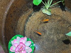 -聚春园·福龙泉澡堂(温泉店)