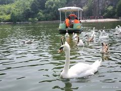 -西安秦岭野生动物园