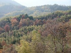 -塔川景区