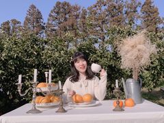 -柑橘农场