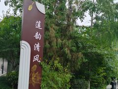 -莲湖公园