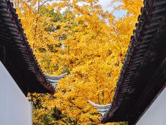 -西园戒幢律寺