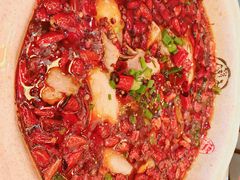 -陈麻婆豆腐总店