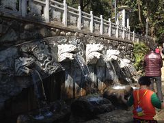 -蝴蝶泉公园